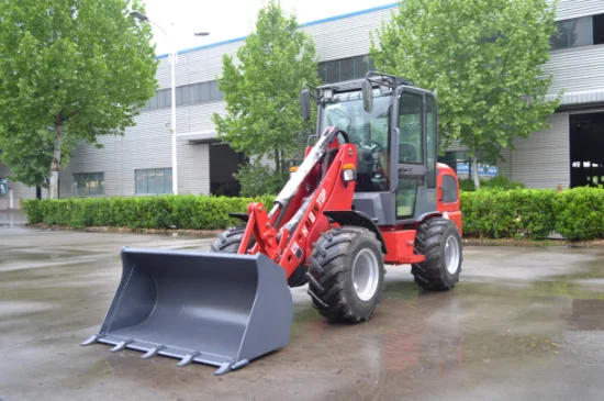 Haiqintop Brandneu (HQ280) mit CE-Zulassung Mini Loader